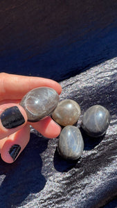 Black Moonstone Tumbles