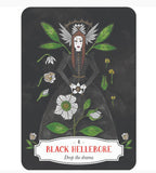 Deadly Apothecary Oracle Deck